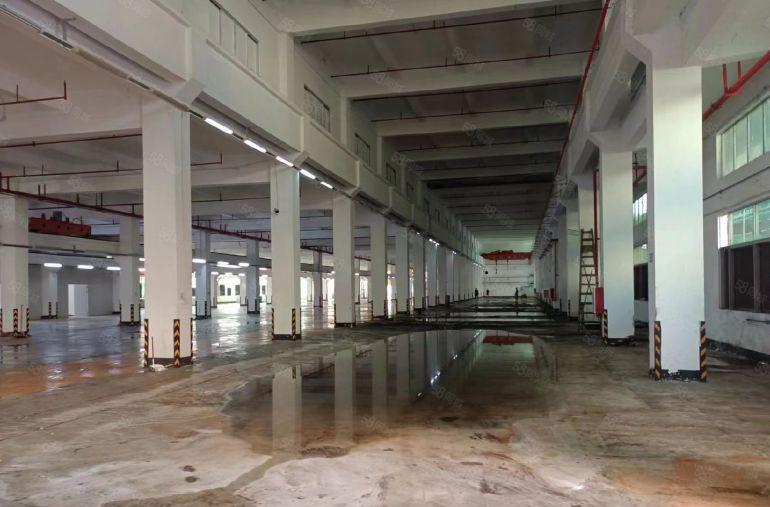 东莞东城原房东厂房出租 独门独院  行车 仓库出租 独院小厂