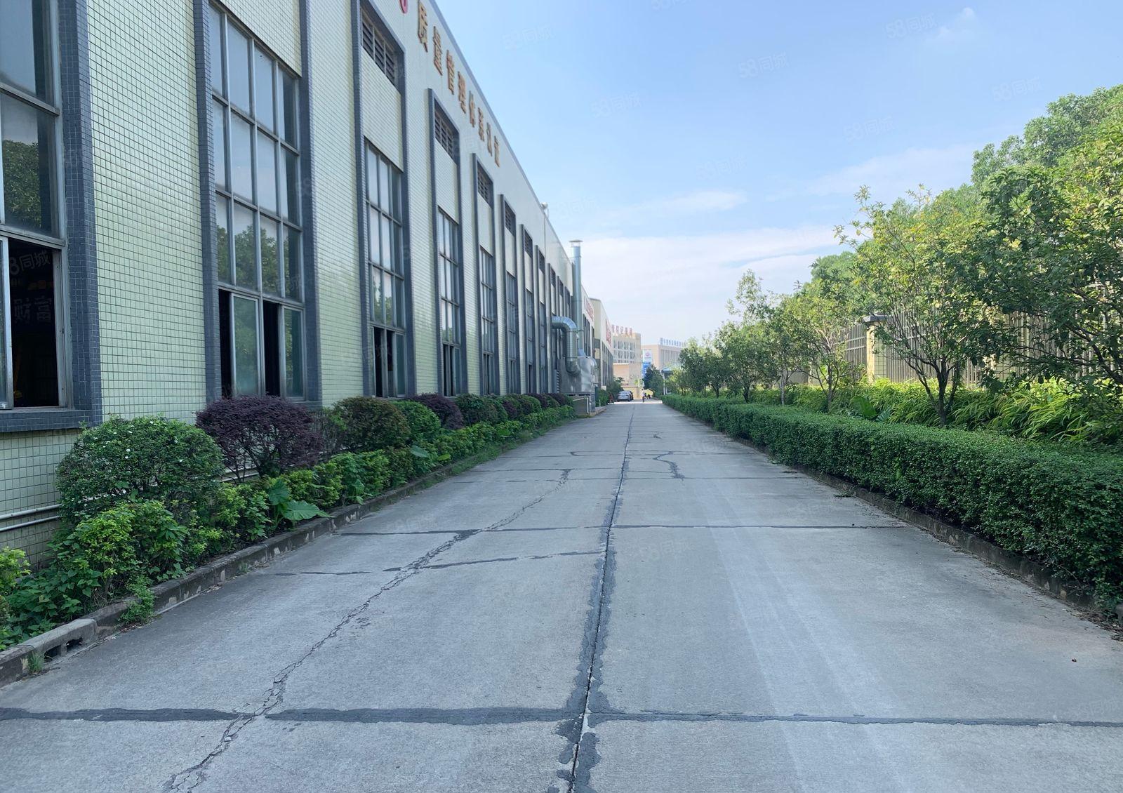 12米高独院钢构厂房实际面积出租，500平方起租，超大空地