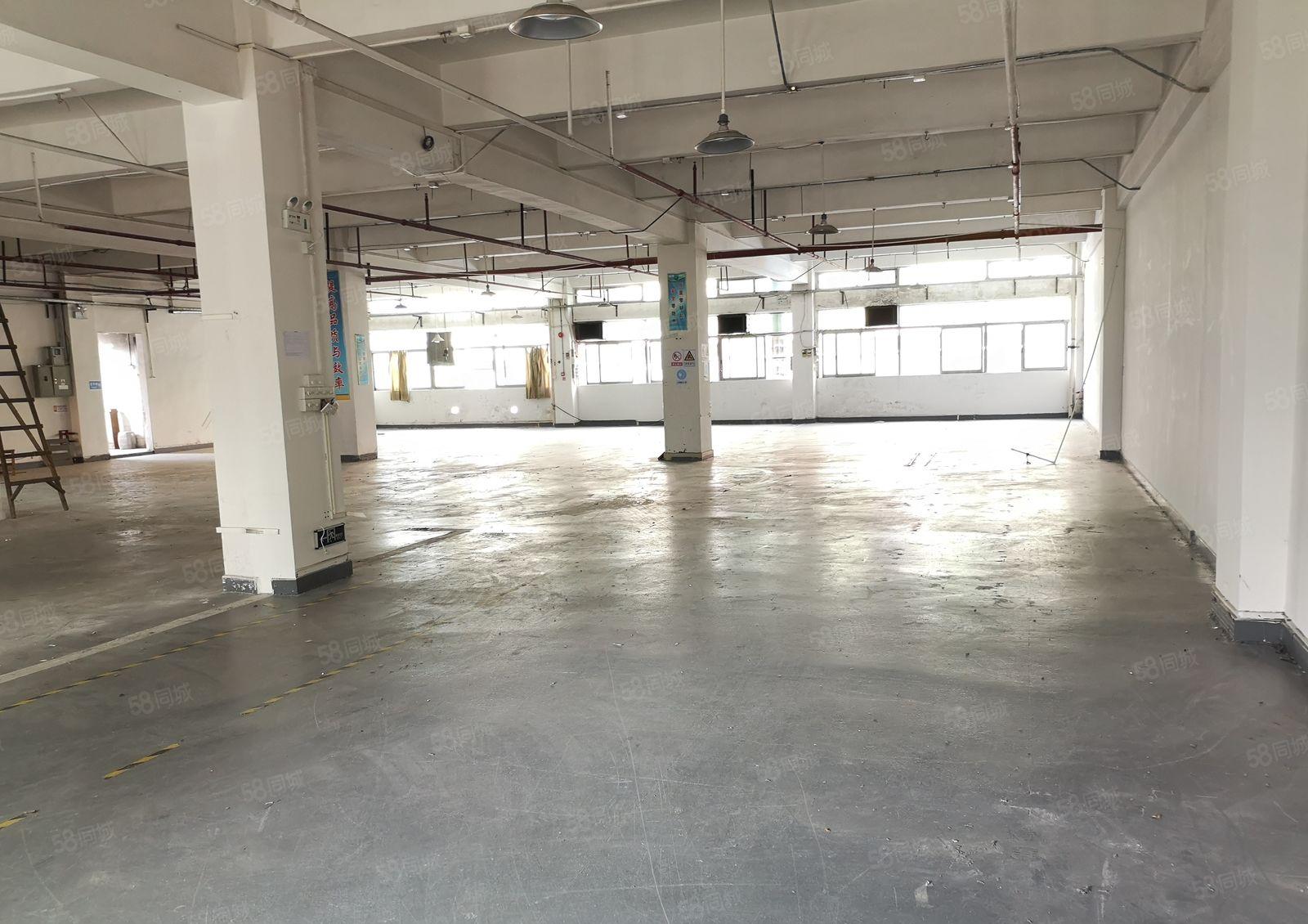 东莞城区周边温塘砖窑工业园区标准厂房900平现成办公室地坪漆