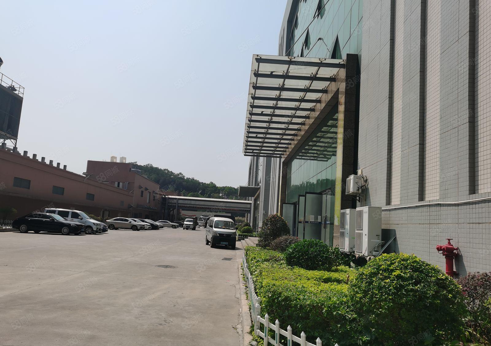 东城牛山外径工业园10000平厂房，可分租，带现成地坪漆！