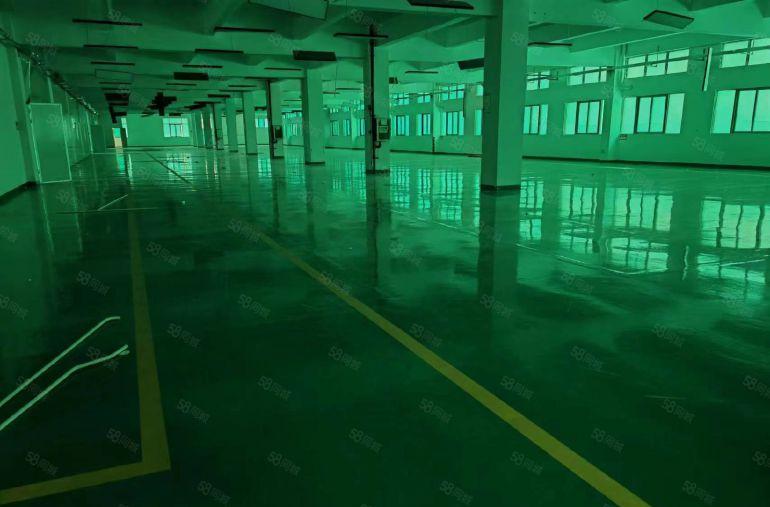 东城超靓厂房1700平全新装修（无尘车间）租金便宜