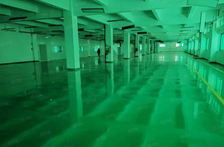 东城超靓厂房1700平全新装修（无尘车间）租金便宜