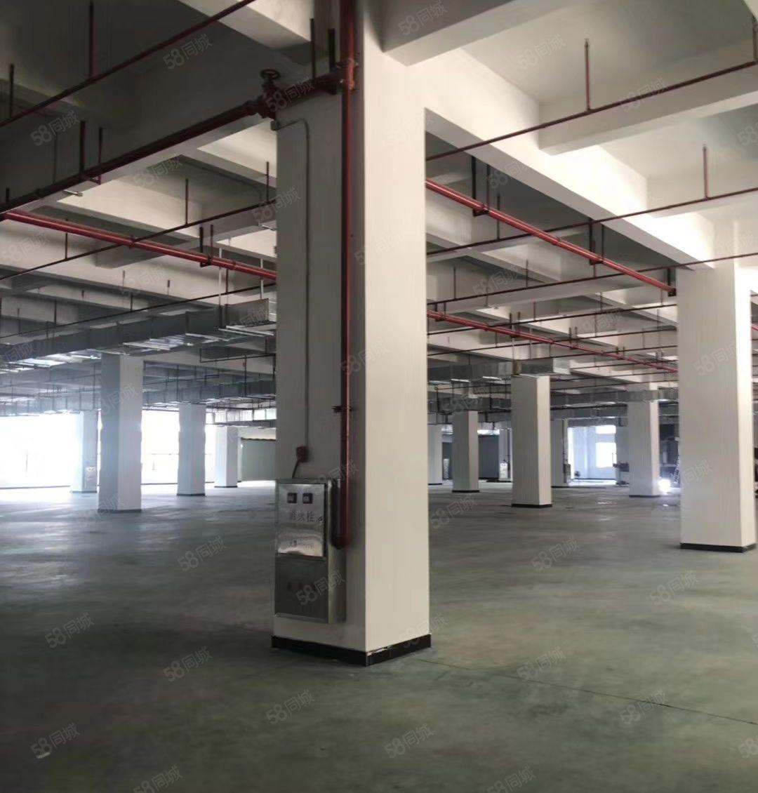 东城 温塘 全新厂房 共5000平方，10元急租