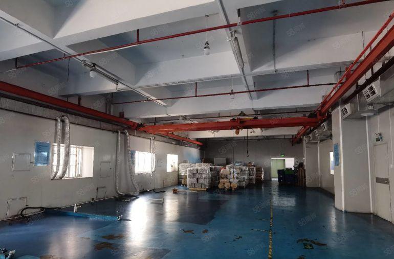 东城镇小面积厂房出租200~15000平方，水电齐全无尘车间