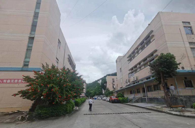 东莞东城原房东厂房出租 可分租 独门独院标准 仓库出租