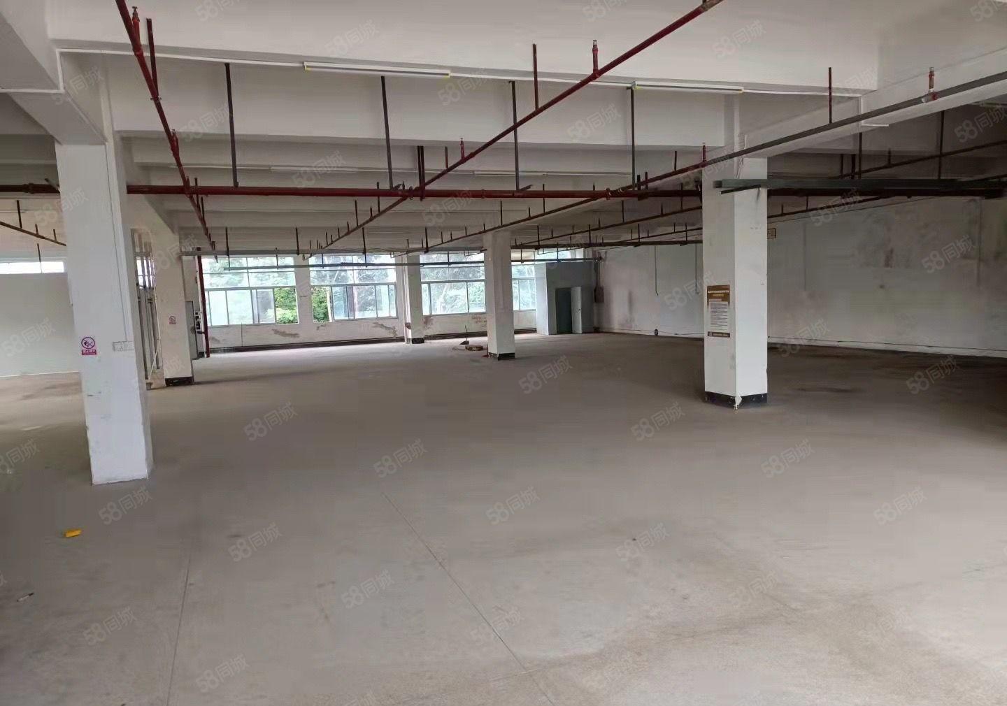 东城桑园工业园区独院厂房出租