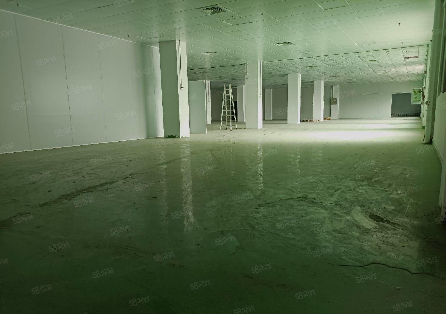 东城新出独门独院厂房仓库8500平，现成办公室，水电齐全