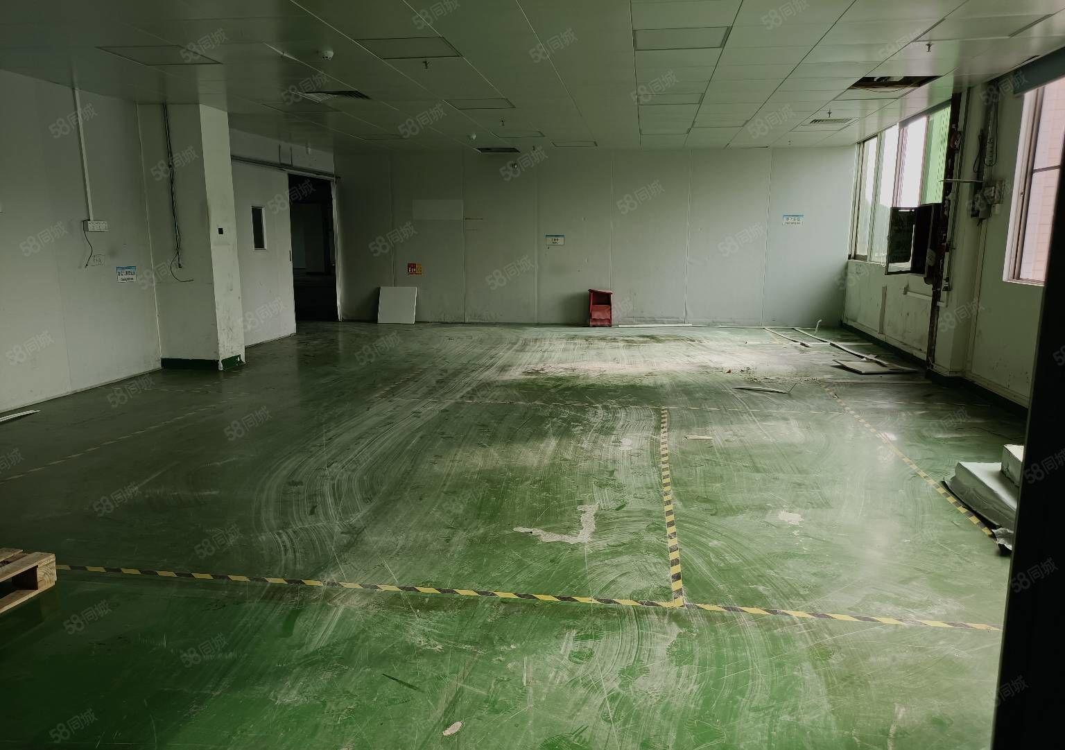 东城新出独门独院厂房仓库8500平，现成办公室，水电齐全