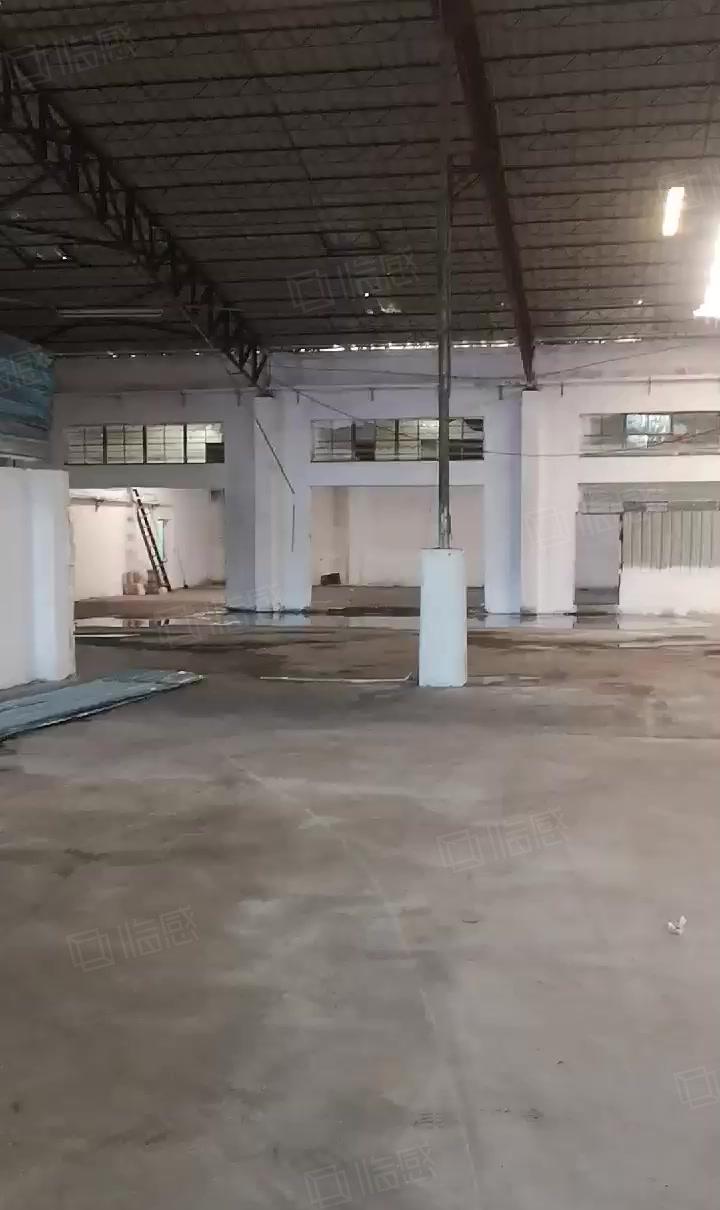 东城主山独栋厂房 钢构厂房单一层适合各行各业篮球馆等等