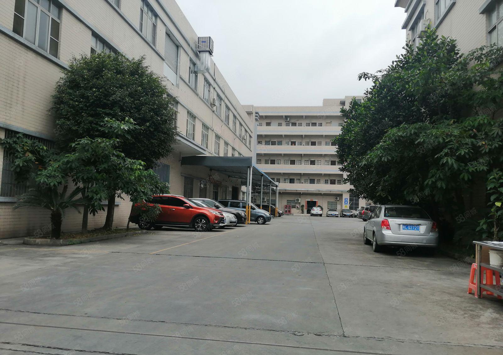 温塘独院花园式厂房出租，单层面积1000平，大小可以分租