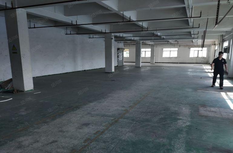 东城桑园一楼650平方米厂房低价出租