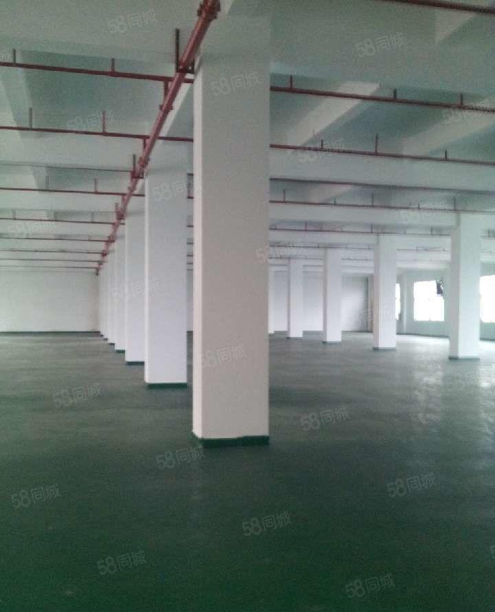 牛山 花园式 厂房出租，10000平大小可分!便宜，带环评！