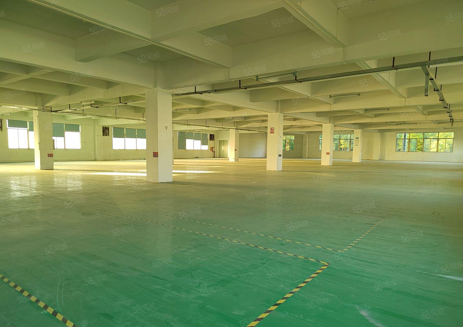 东城余屋工业厂房 每层1500平方 环评可办 电充足