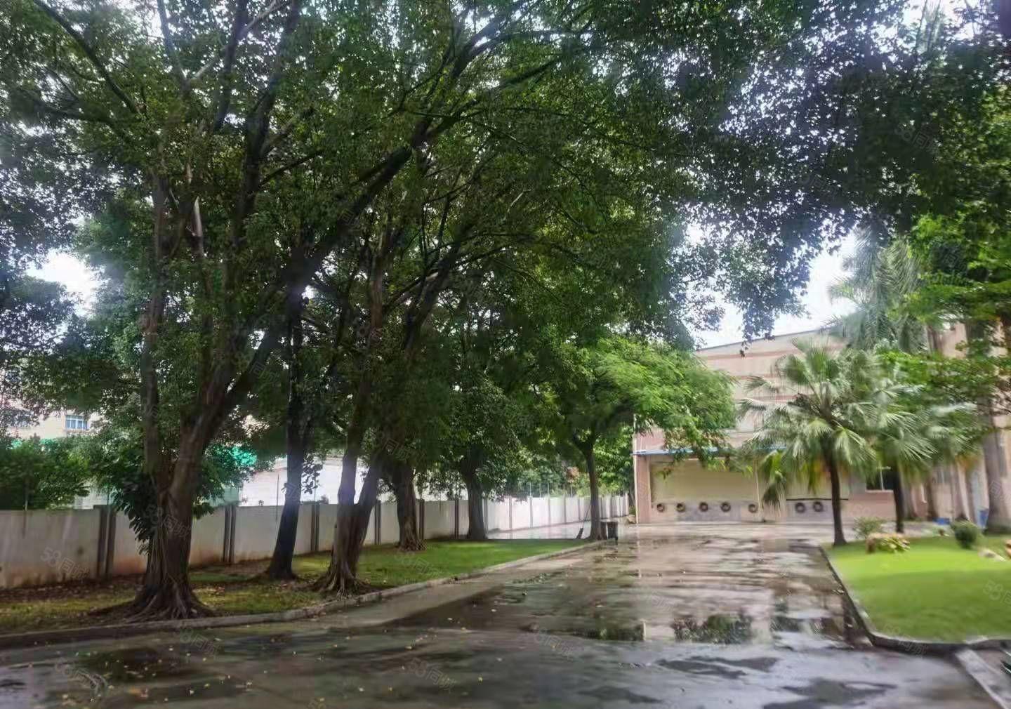 厂房出租！东城温塘工业厂房低价出租，超长合同期十年，超大空地