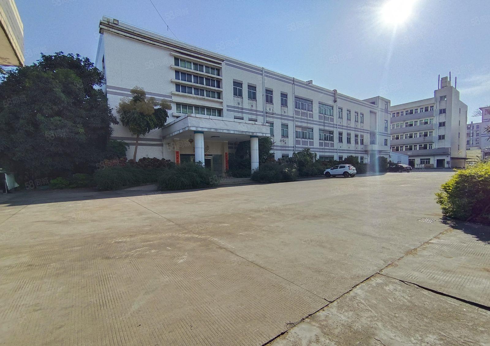 原房东独院厂房出租独栋厂房重工业厂房花园厂房精装修厂房