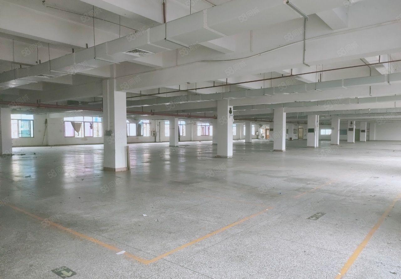 东城周屋豪华工业厂房新出二楼3200平方