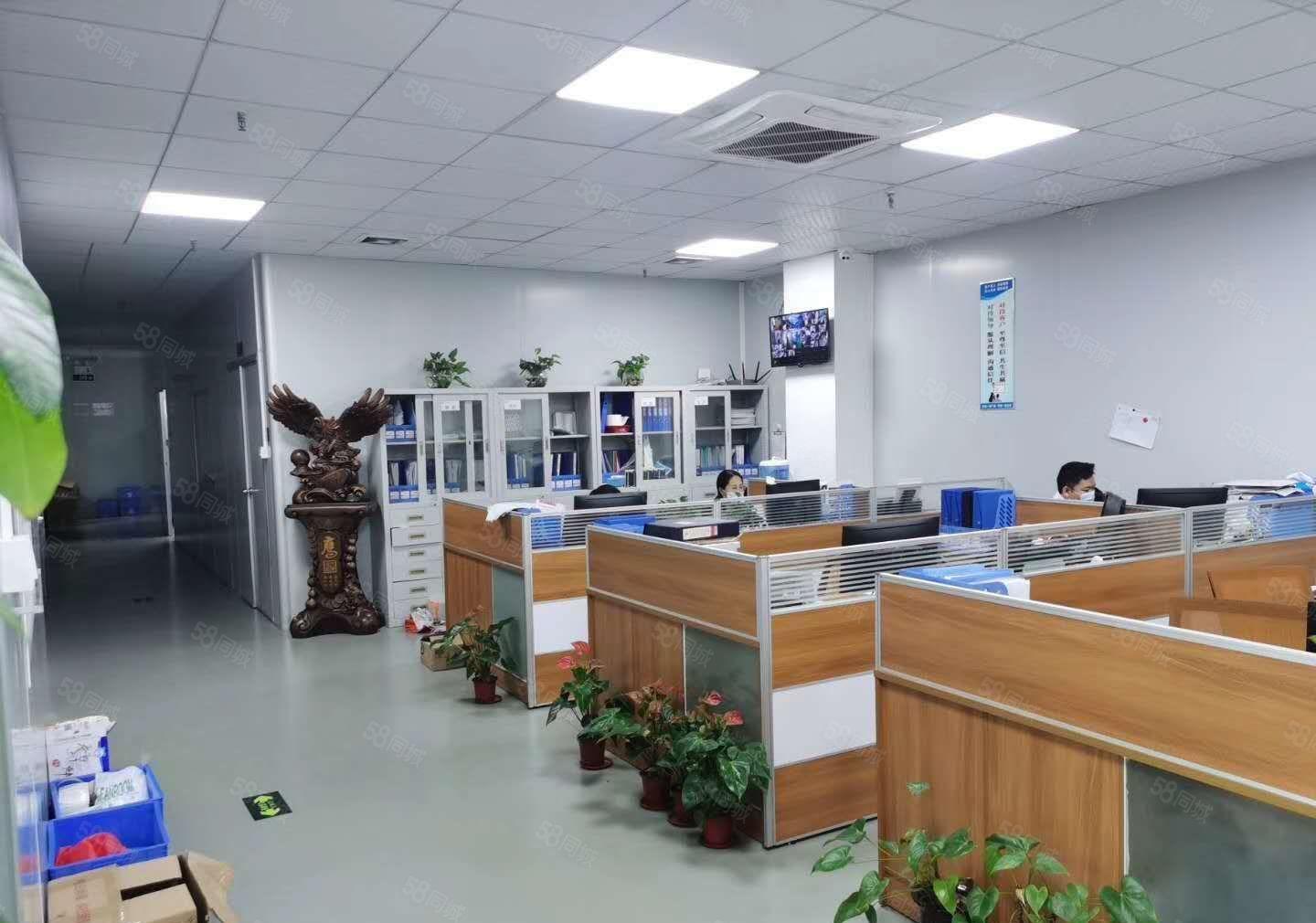 东城主山大井头附近工业园分租标准一楼300方价格实惠