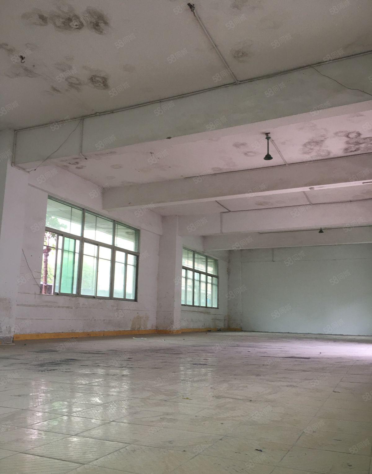 东城桑园新出2800平方厂房低价出租大小可分