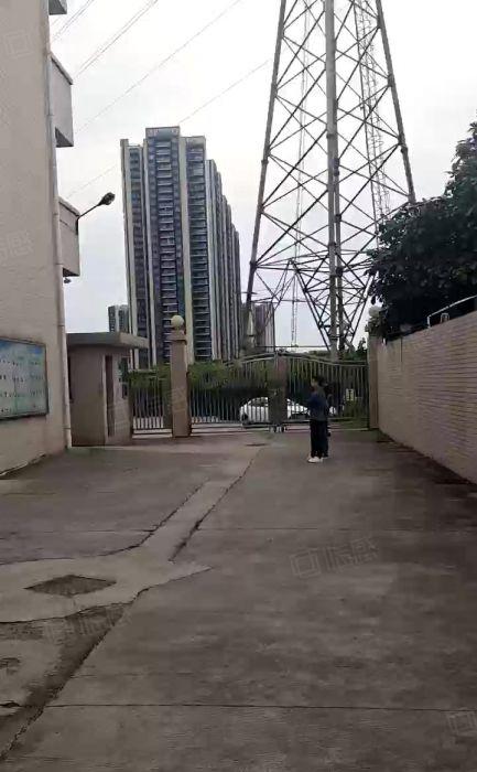 厂房出租东城温塘13元原房东独院厂房出租，可分租空地超大