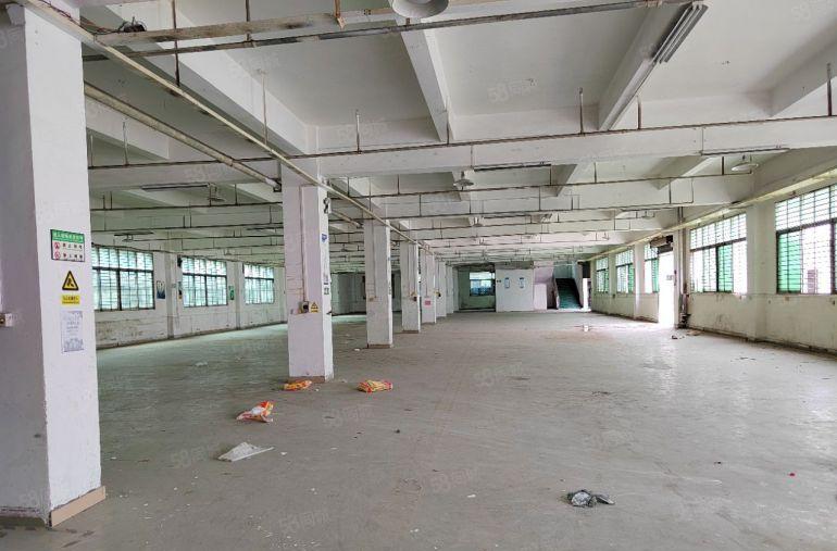 经典独院厂房出租三层厂房带独立办公楼超大空地一手房东