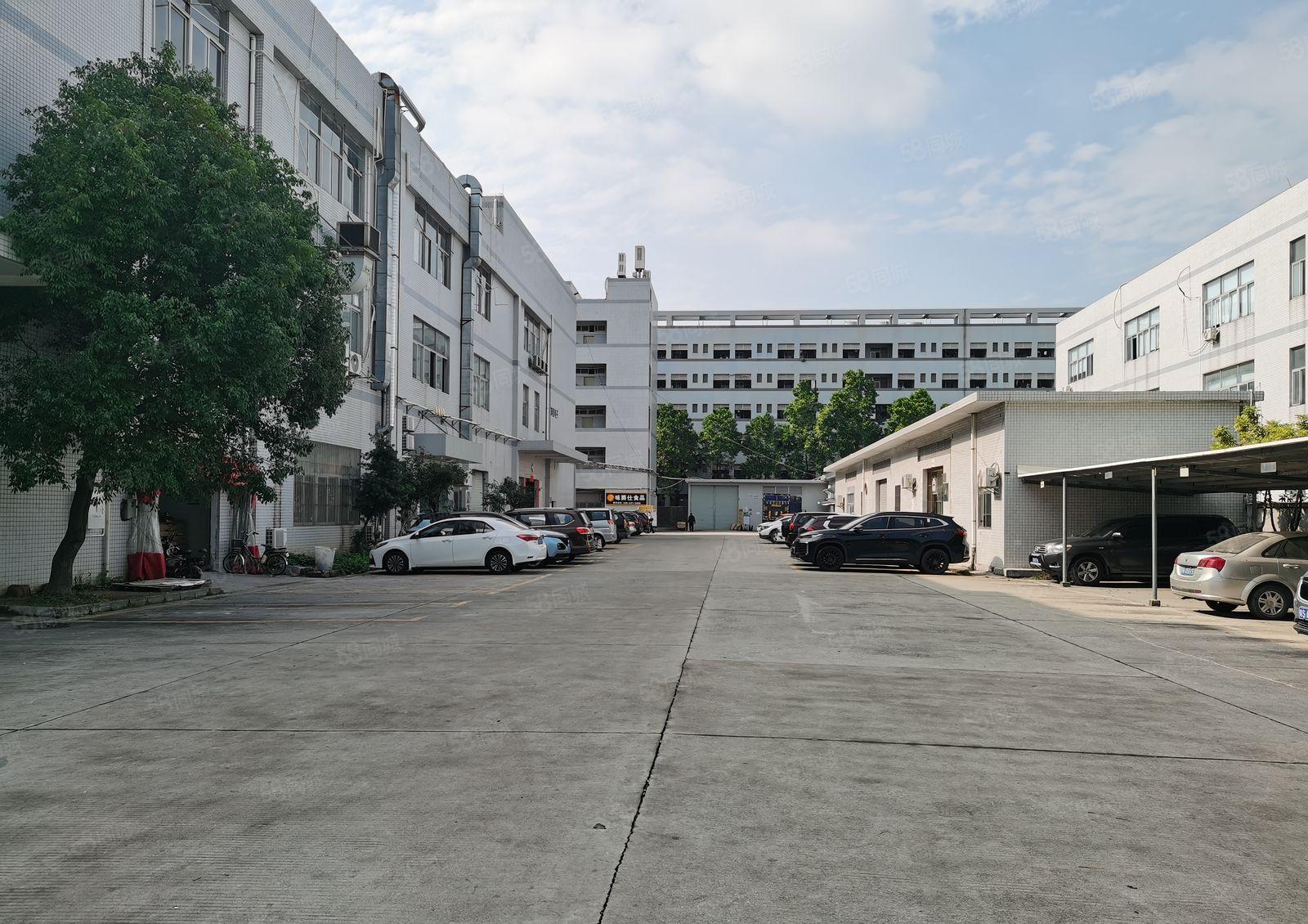 东城牛山新出工业厂房一楼1100平方现成办公室