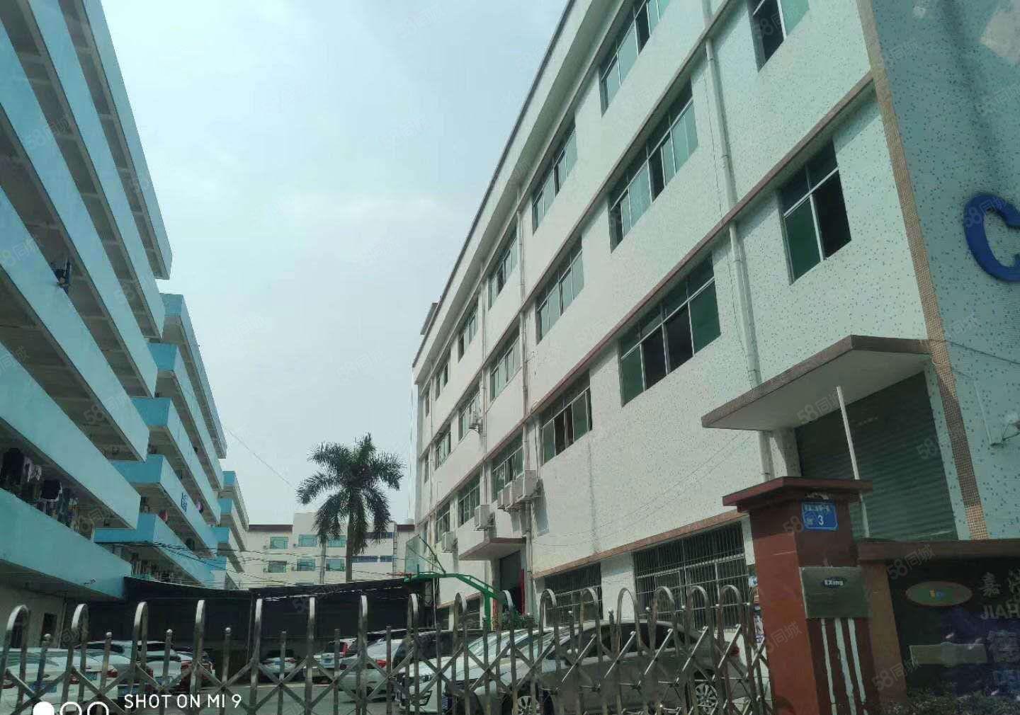 东城峡口榴花车站附近原房东厂房四层共2400方宿舍600方