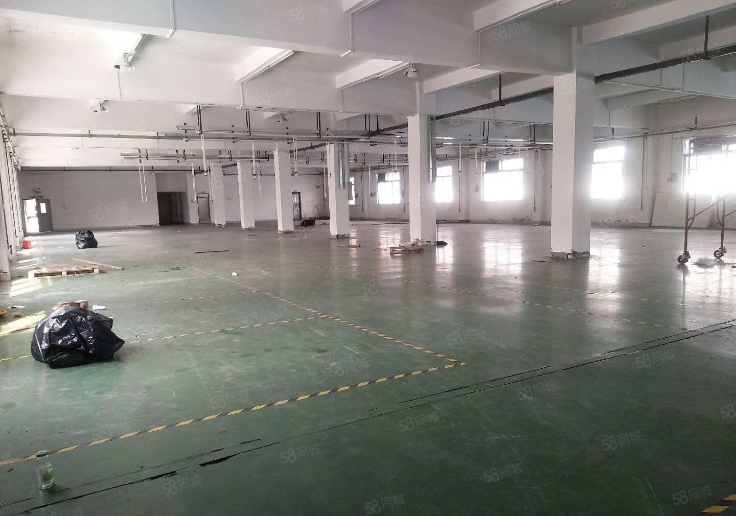 牛山 一楼 1500平 二楼 1500平，精装修，可分租