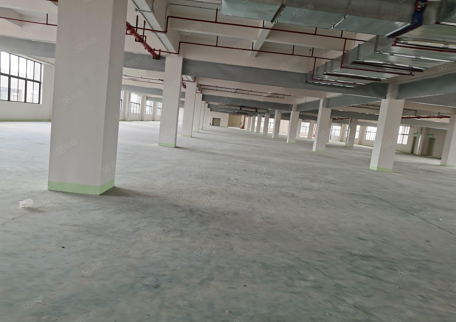 东城牛山外径工业园独门独院厂房一万平，可分租，带电梯！