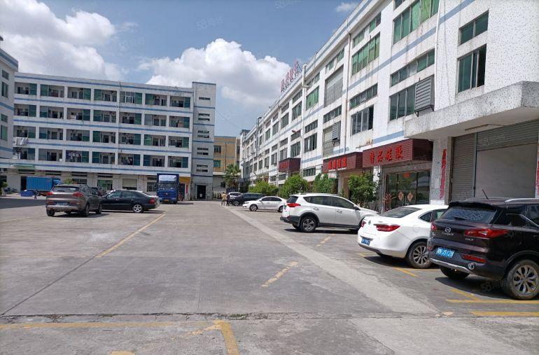 10元，10元不谈价，只要十元亏本甩租，200方起租，环境高