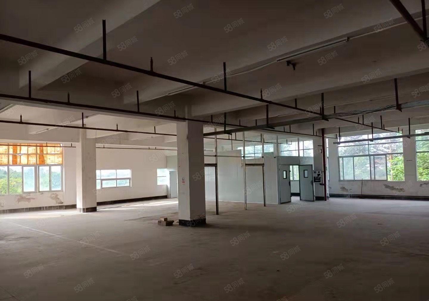 东城周屋工作园区厂房8000平方米可分租