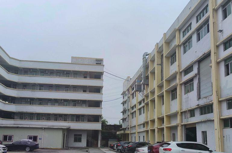 东莞市东城温塘标准独院厂房出租一楼二楼大小可分可办环评