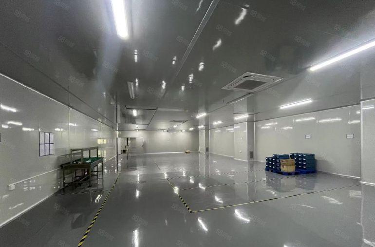 东莞东城原房东厂房出租 无尘车间 独门独院 行车