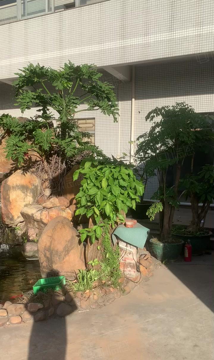 东城温塘13800平独院厂房，上市公司形象。小铭推荐！