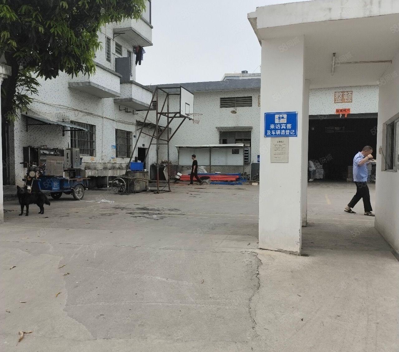 东城油塘独门独院厂房出租