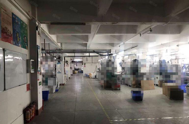 东莞东城周屋新出标准厂房，二楼三楼各1500平厂房出租