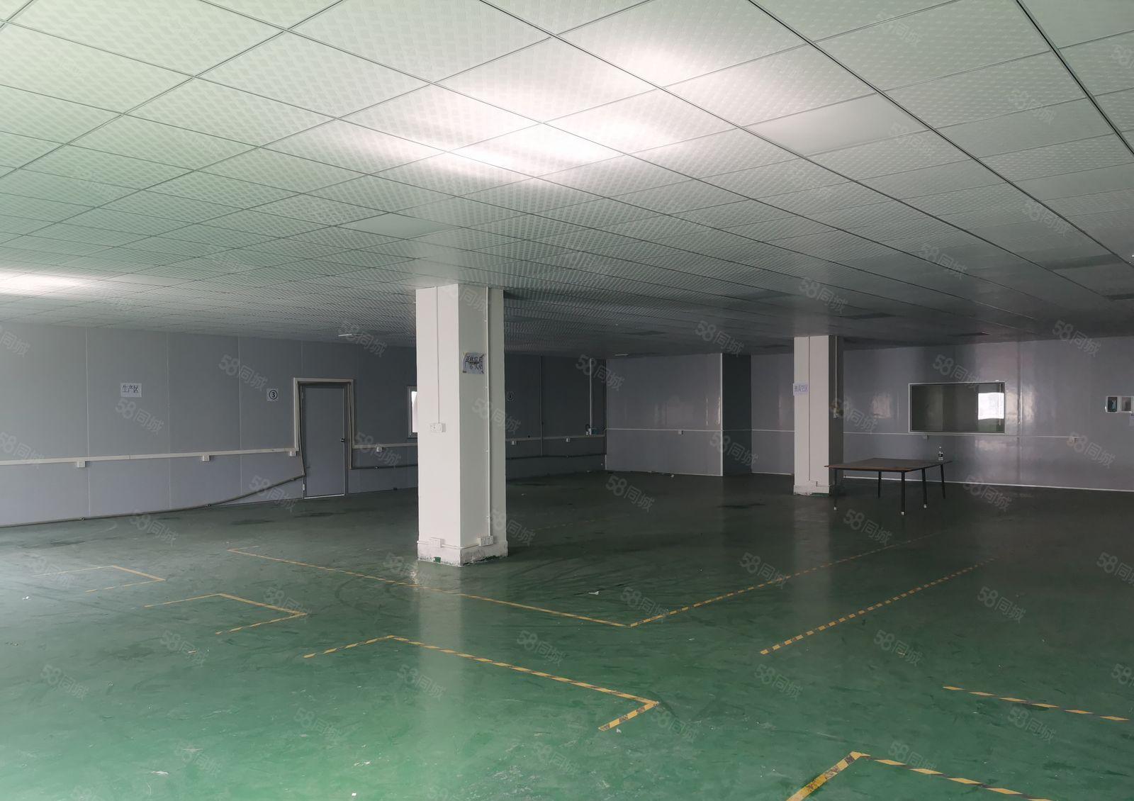 植物园附近现成电子车间1400平，千级无尘车间。