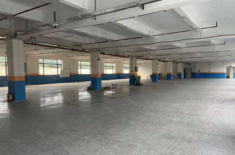 厂房出租8.8元一平东城柏洲边1000平独院小厂房原房东厂房