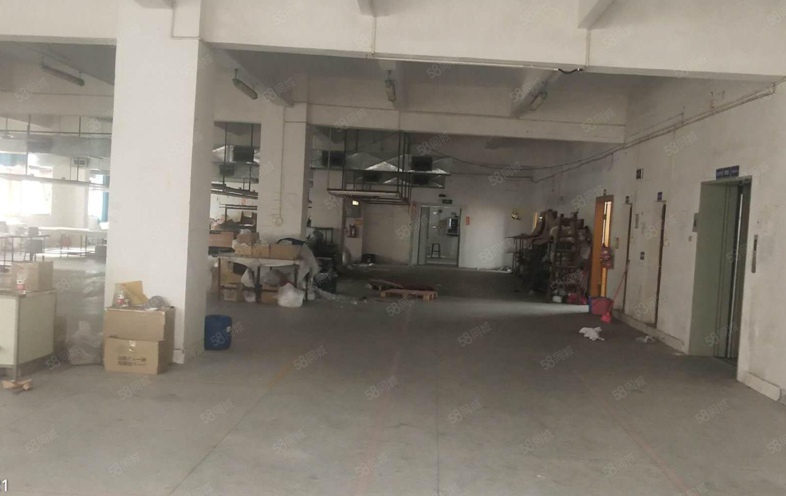 东城主山大井头附近工业园分租标准一楼300方价格实惠