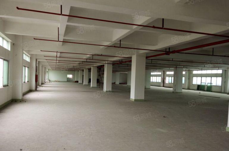 东城 原房东 独院厂房 出租3000平方,九成新租金便宜