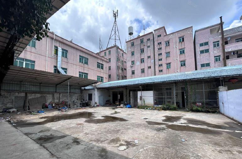 东莞市东城新出村委单一层厂房出租600平方 独门独院