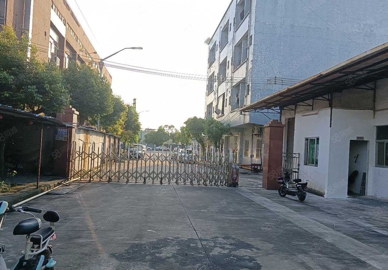 东城桑园单一层8米钢结构厂房3200平，有空地