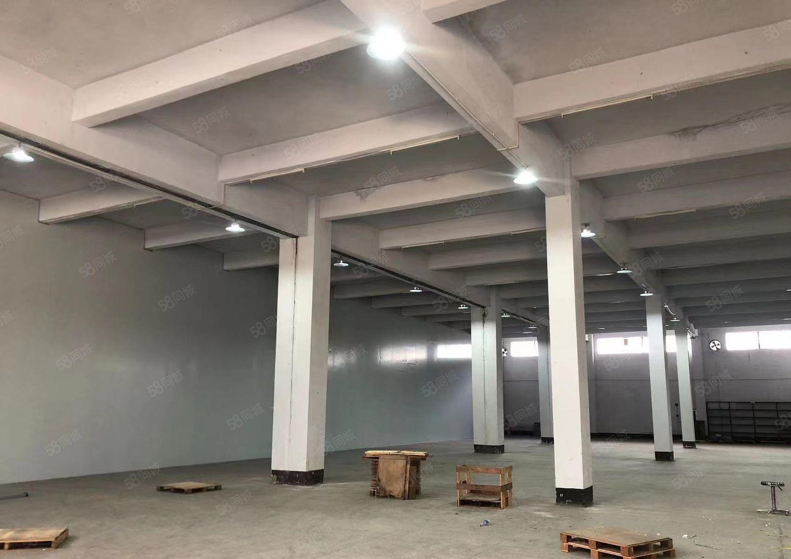 独门独院3800平方米重工业厂房招租