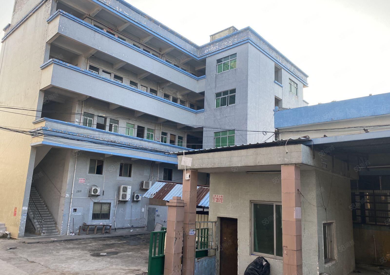 东城原房东独门独院单一层厂房4000平实际面