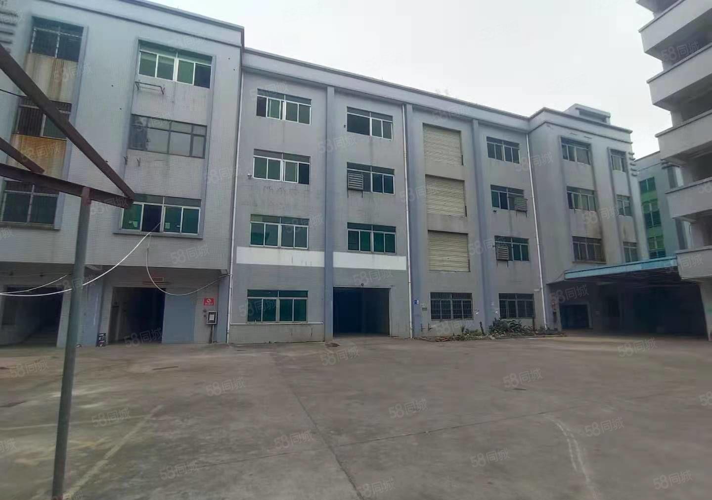 东城桑园标准厂房分租楼上600平方精装修形象好近邻环城东路