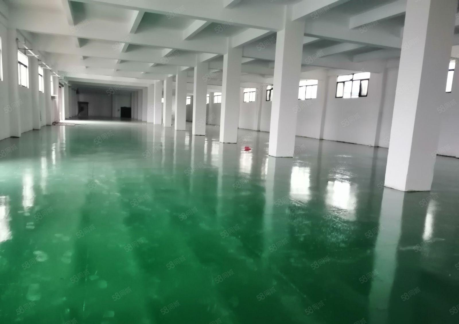 温塘独院花园式厂房出租，单层面积1000平，大小可以分租