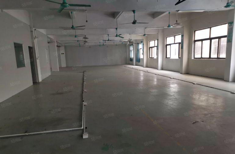 主山振兴路下桥水果市场附近新空出厂房二楼980方带5间办公室