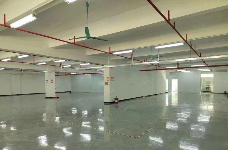 全新装修地坪漆二楼厂房低价出租