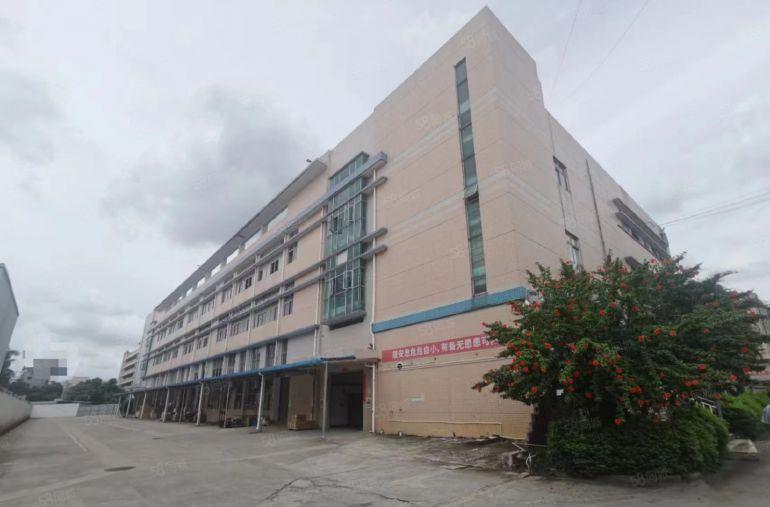 东莞东城原房东厂房出租 可分租 独门独院标准 仓库出租