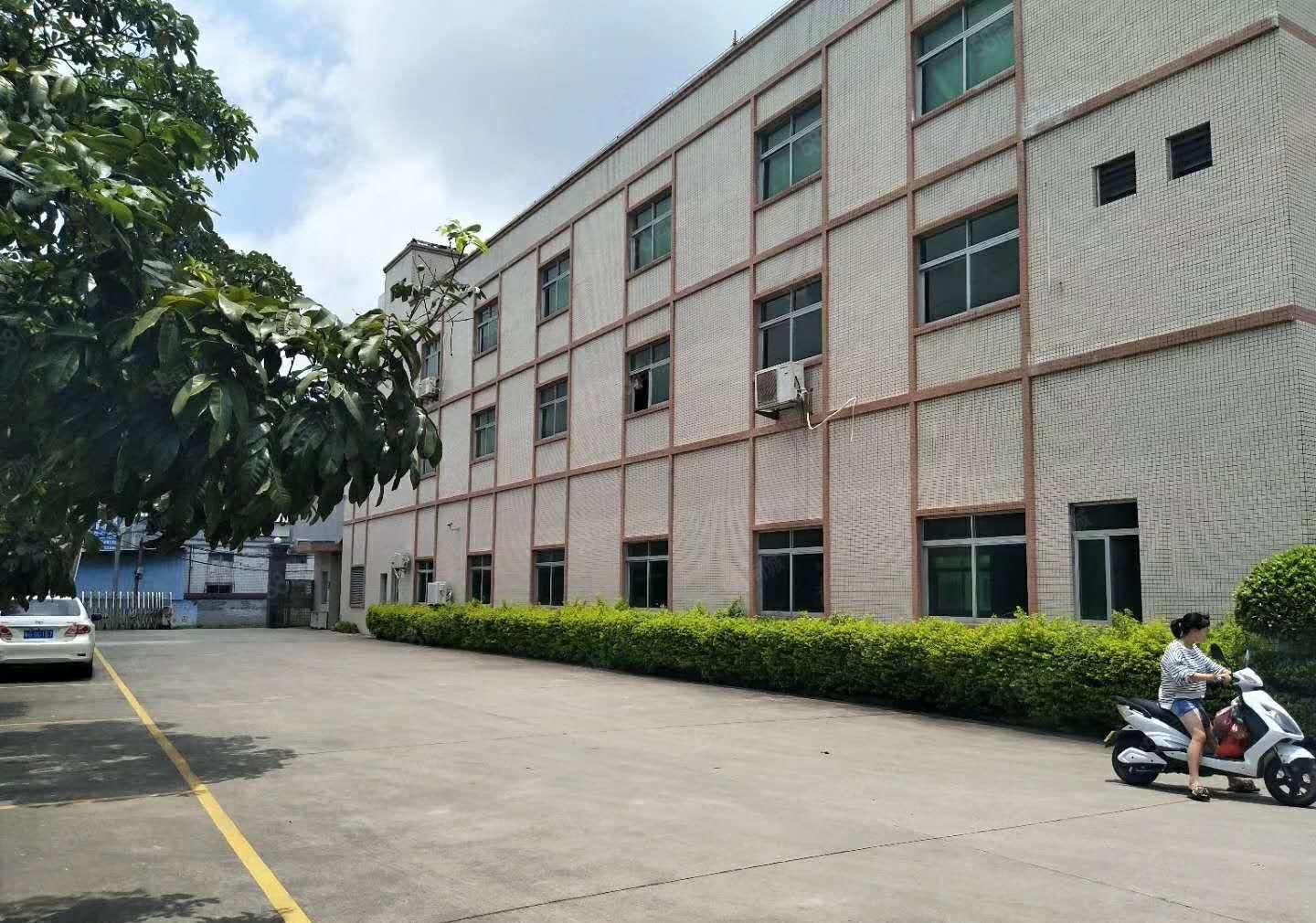 东城牛山科技园分租一楼300平，二楼600平方