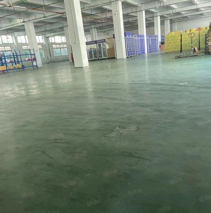 东城周屋新空一楼1980平，带地坪漆，水电齐全，空地大